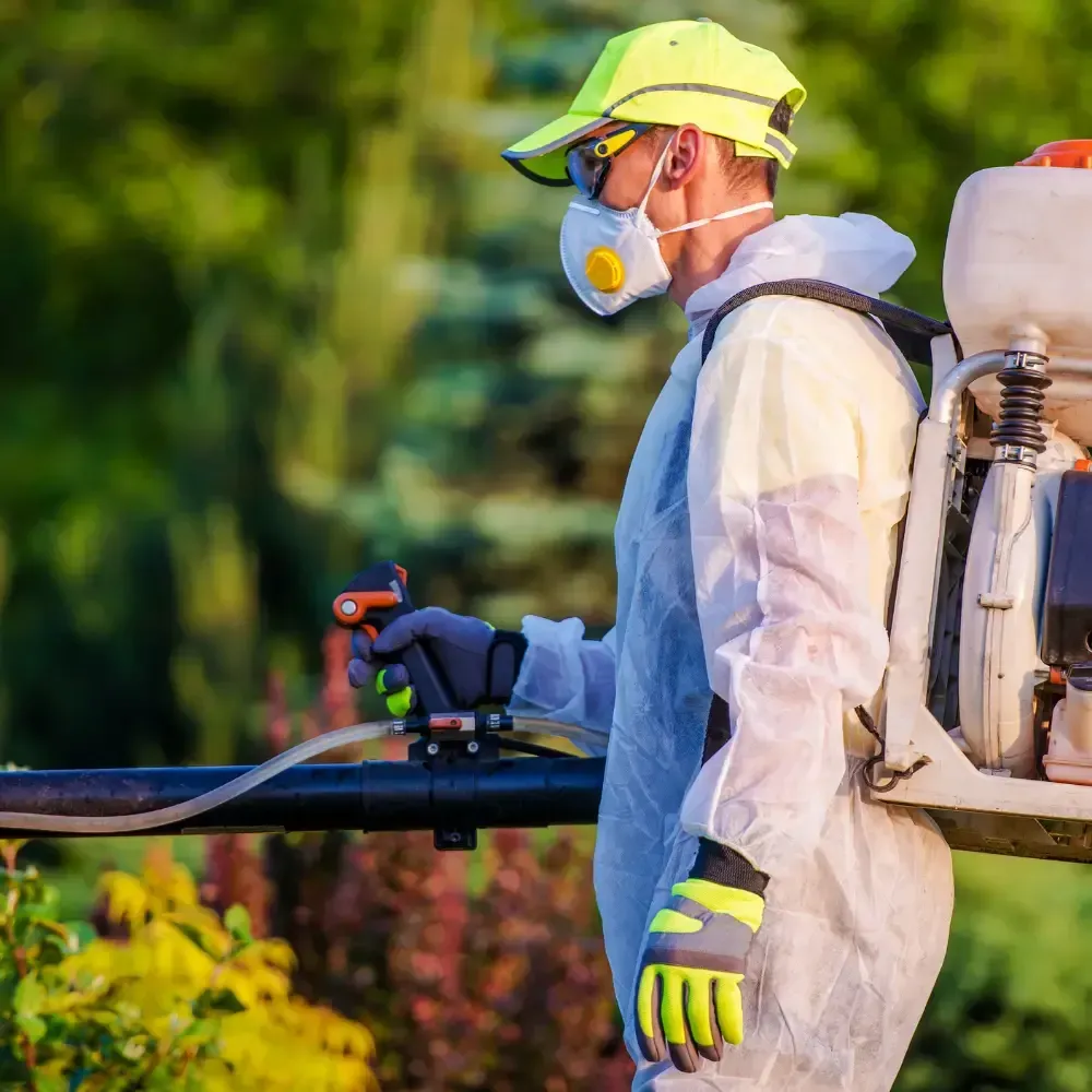 Exterior Pest Protection Victorville 