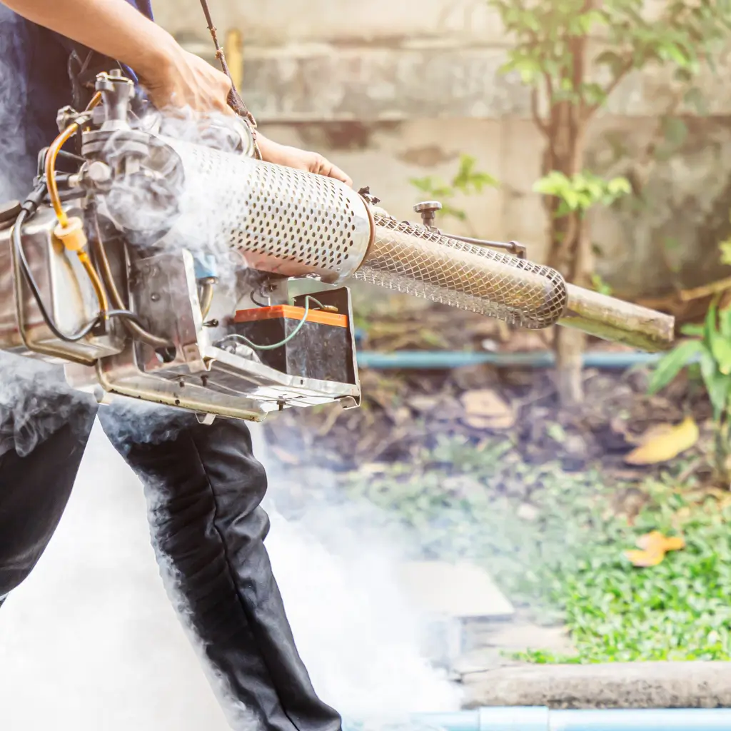 Mosquito Control in Victorville, CA