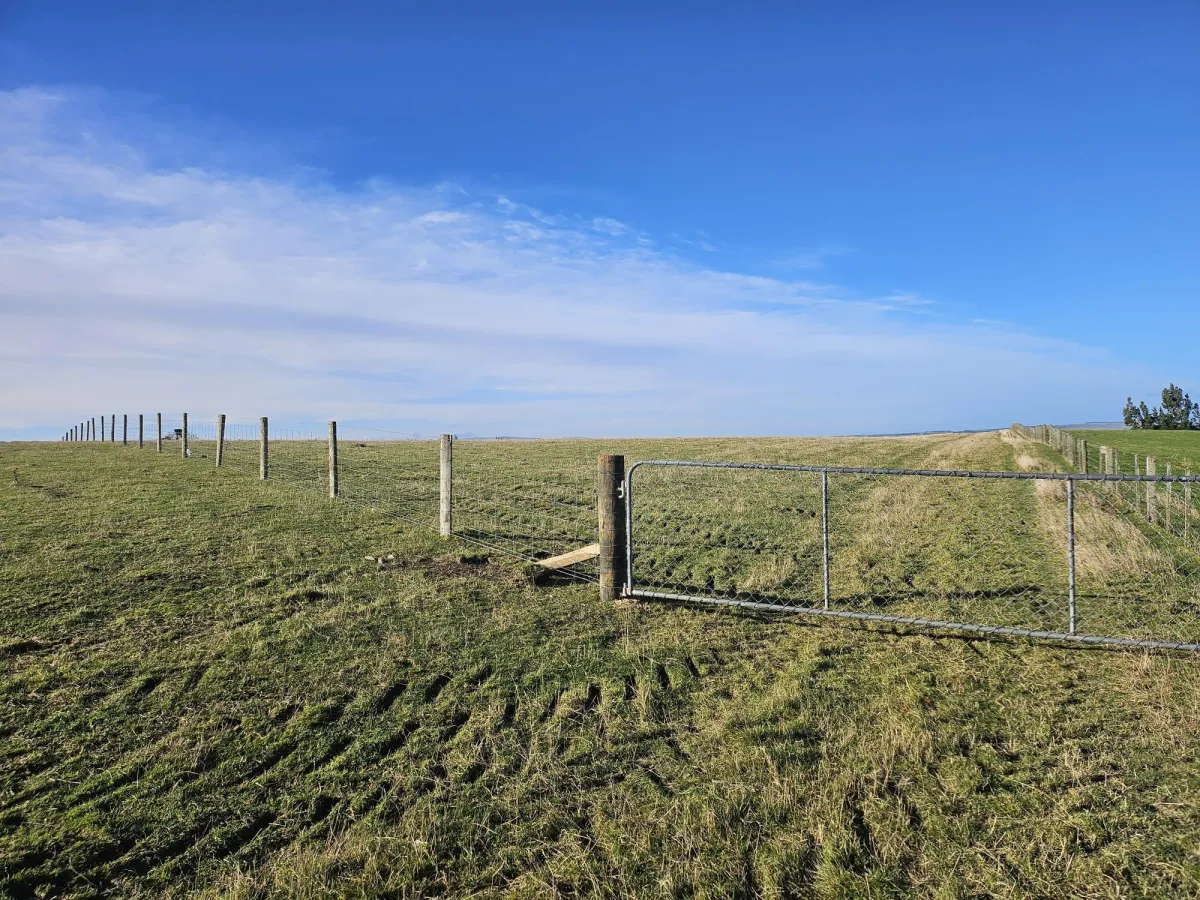 Fence line against a blue sky in Southland, New Zealand