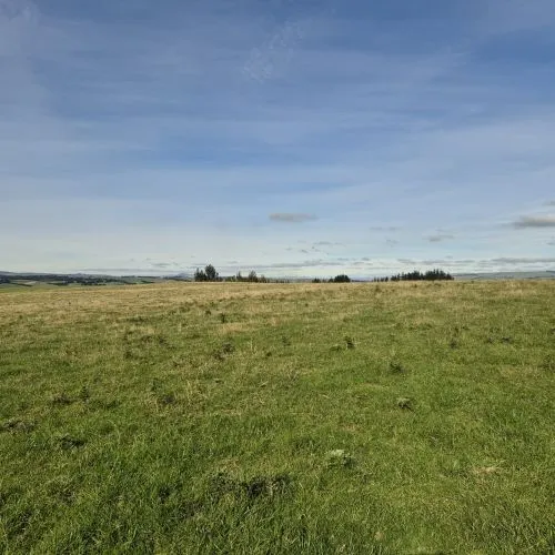 Image from our New Zealand homestead journey related to costs to build on bare land in New Zealand