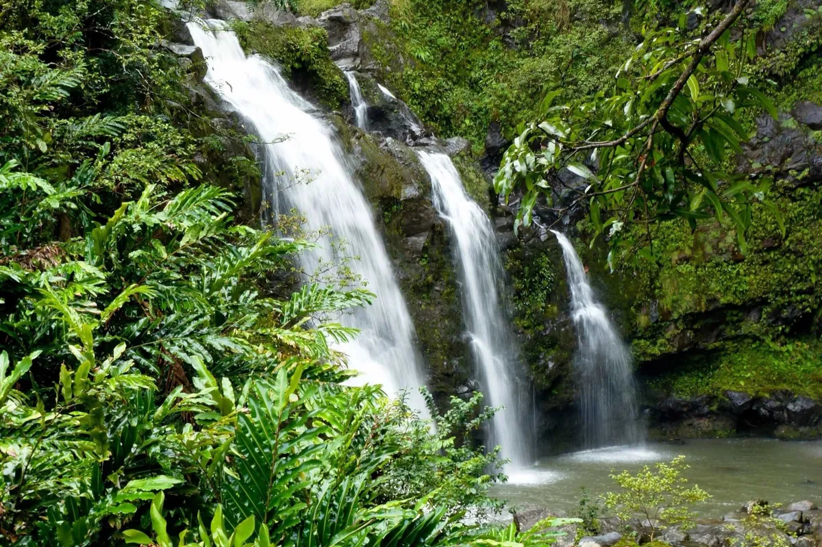 Hawaiian waterfall
