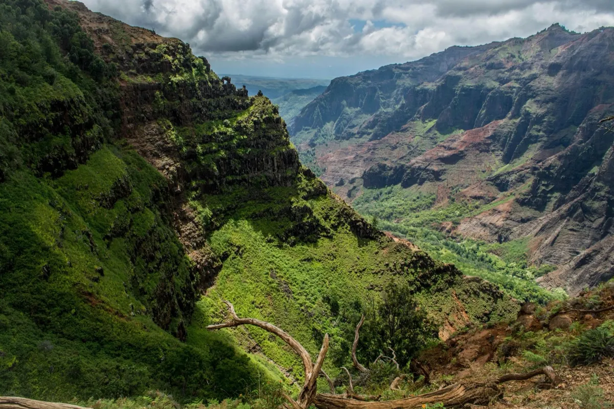 Kauai canyon lookout