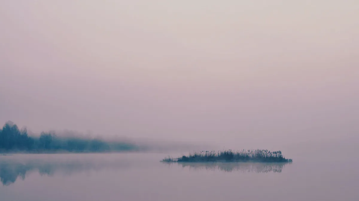 When Performing Belief Becomes Disconnection