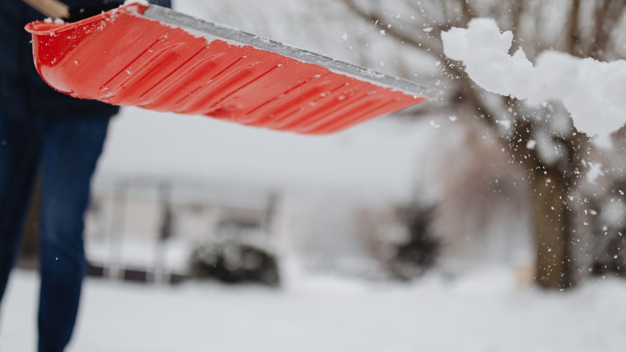 Sunny view of the Halifax waterfront boardwalk with people walking and the harbor in the background.