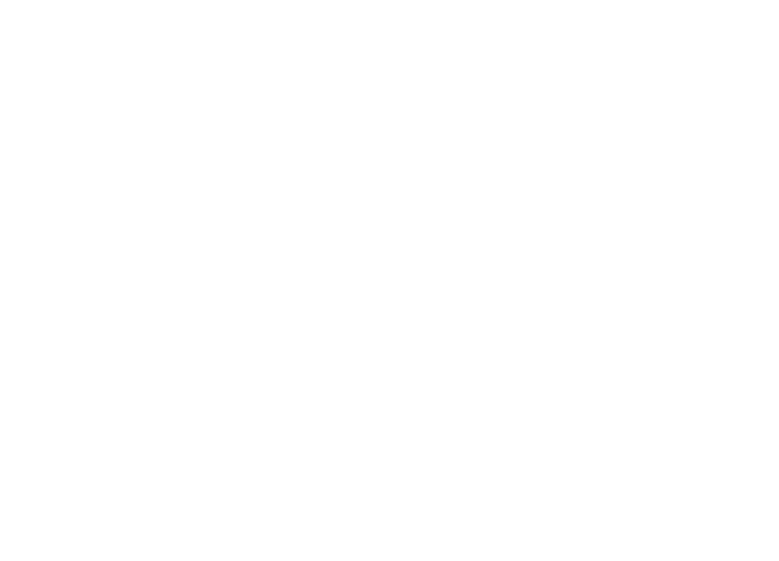 The Curious Wolf Collective write publish promote