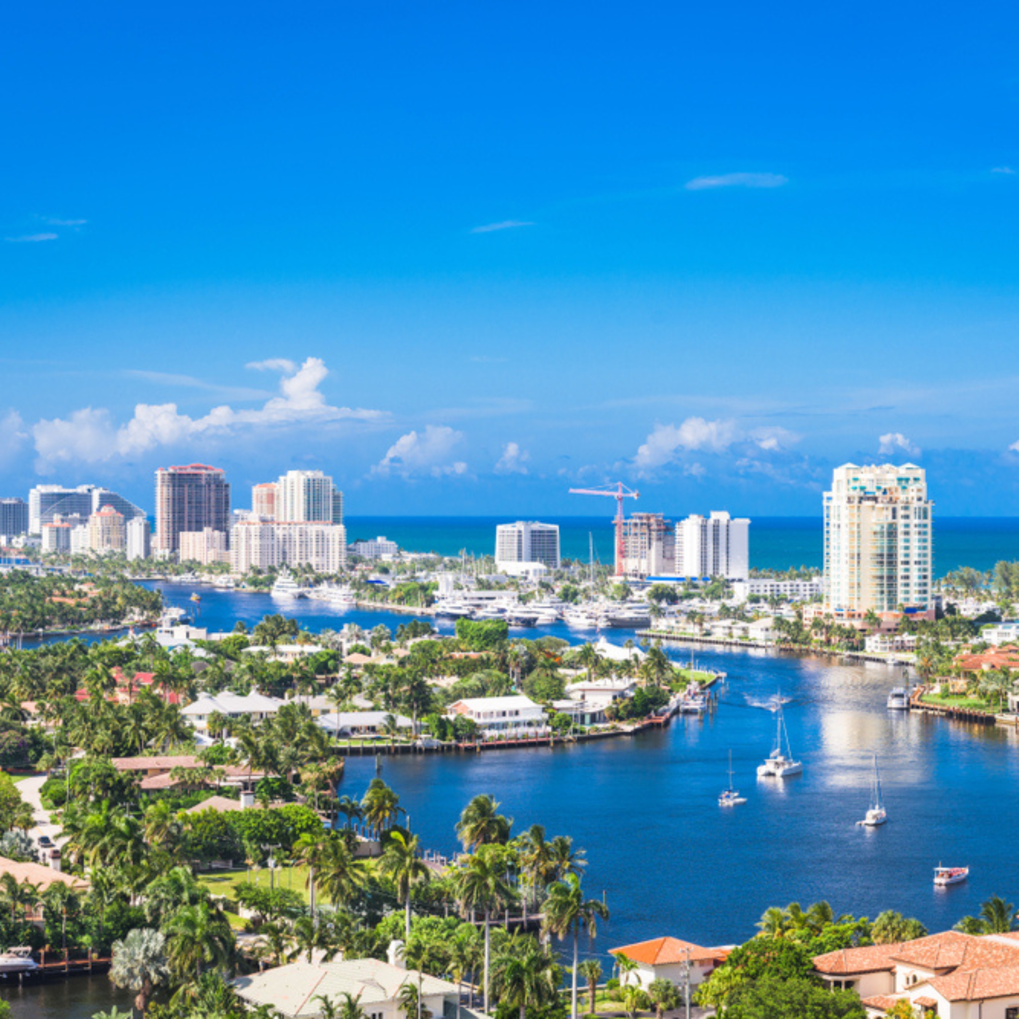 Charles B. Mead Portrait