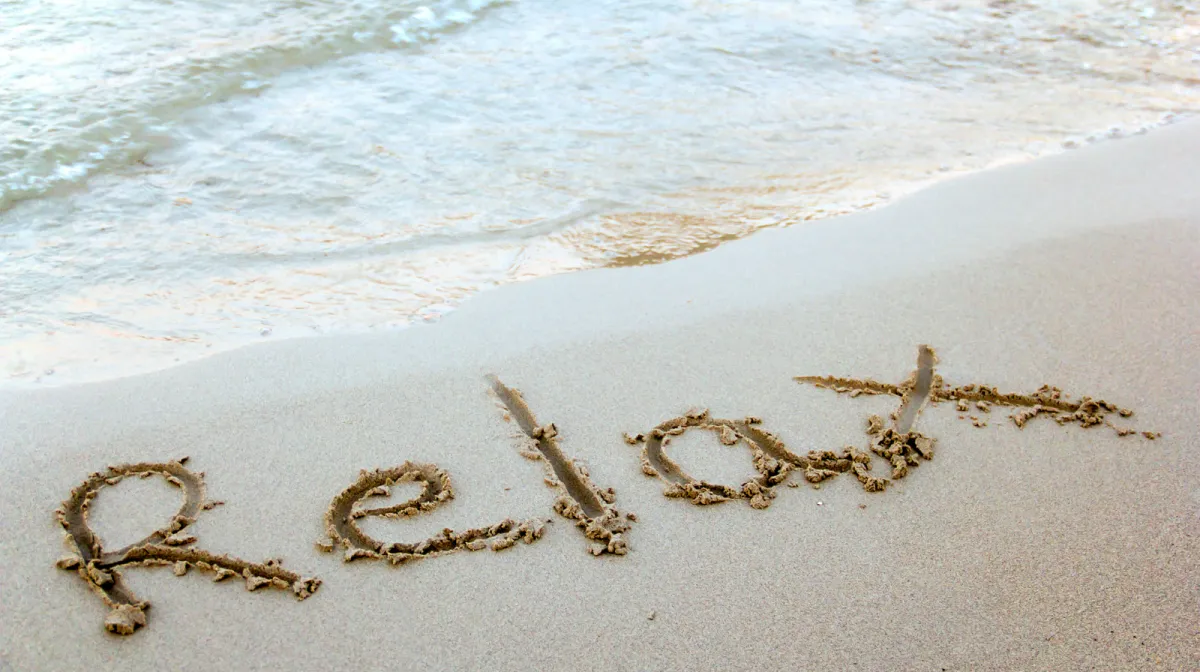 Two seagulls walking on the sand of a beach