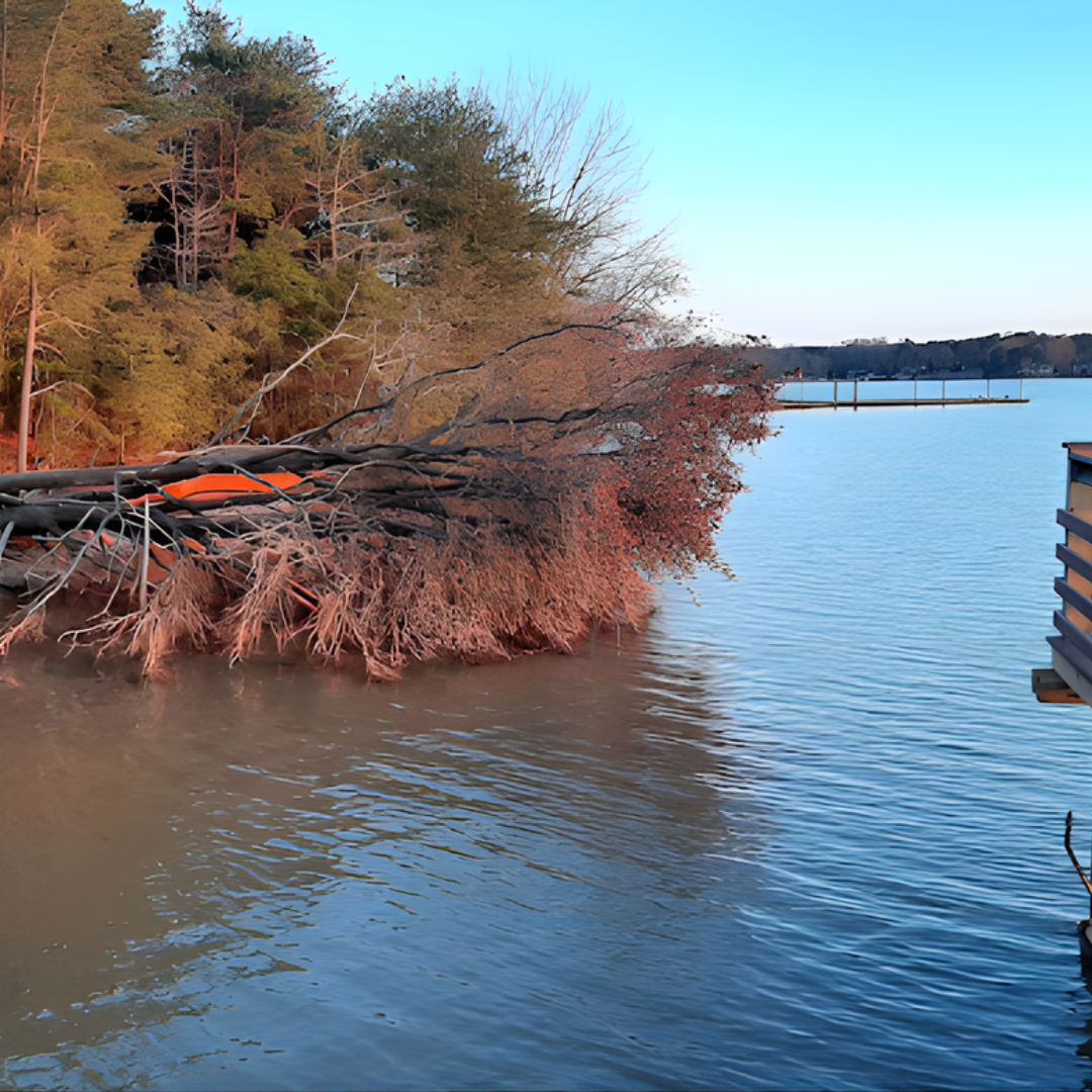 Lake Wylie, SC Featured Image