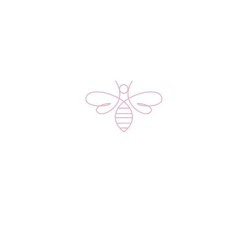 new england wedding videography