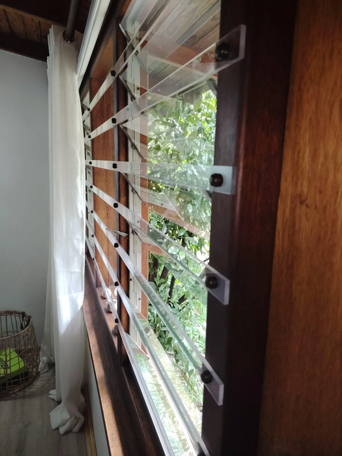 brown animal head inside car