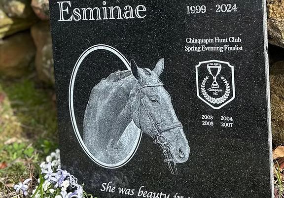 Pet Memorial - Photo on Black Granite