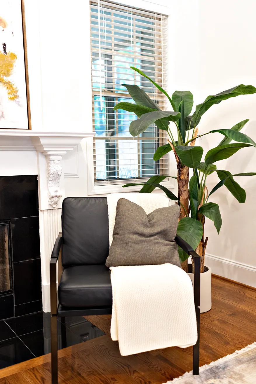 Black cushioned armchair with wooden armrests, white blanket and throw pillow, and a tall plant.