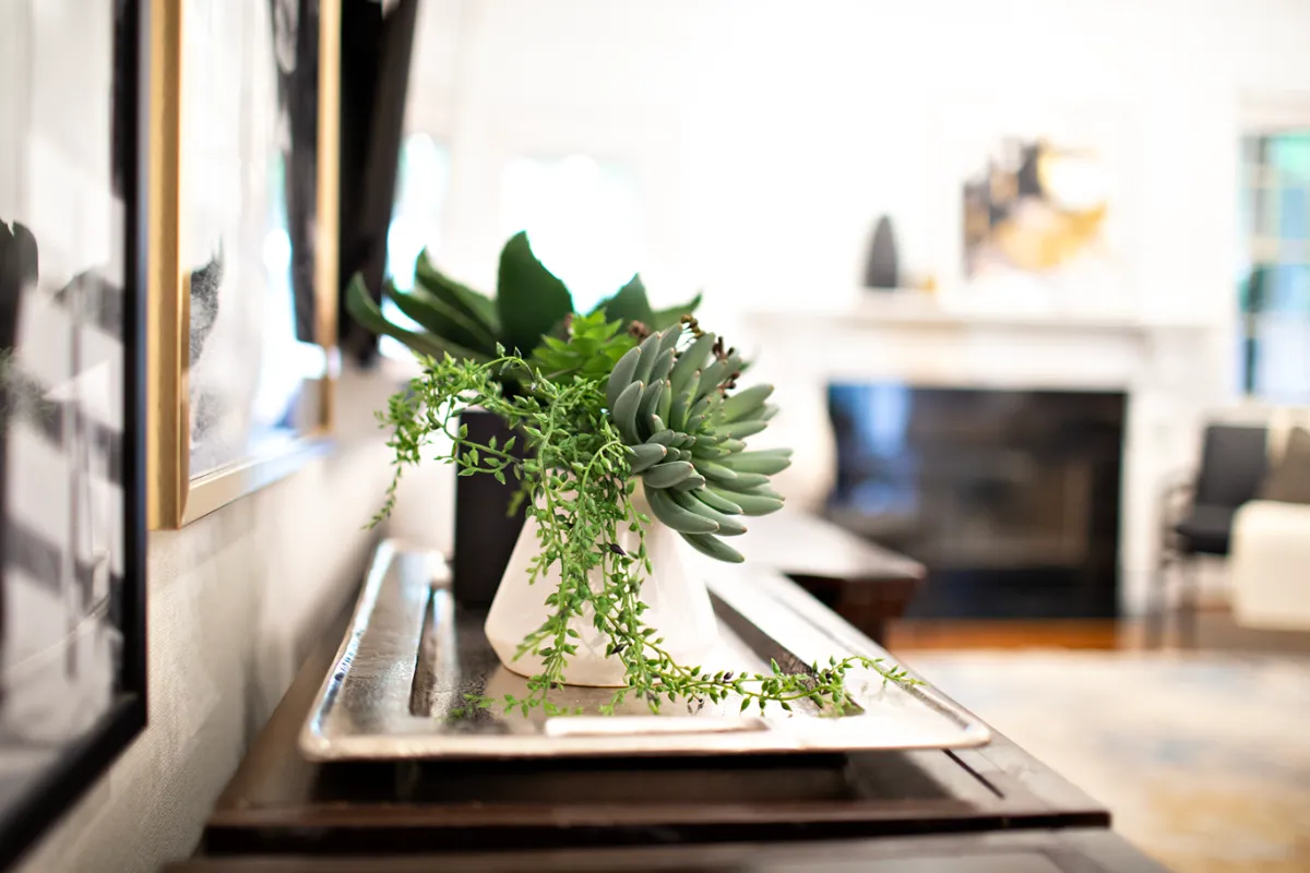 Silver metal tray placed on a dark tv cabinet that holds two succulent plants in black and white planters.