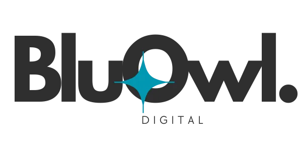 BluOwl Digital Solutions