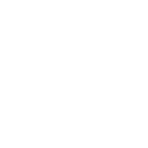 Financial Engineers logo