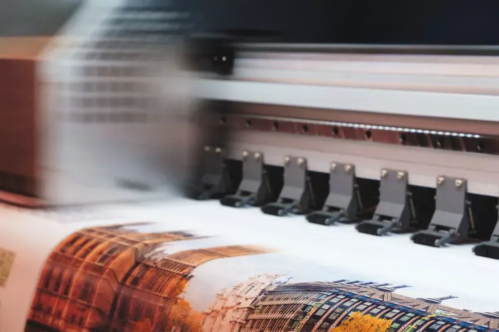 Large format vinyl printer producing custom printed vinyl graphics for signage, wall decals, window graphics, and branded business displays.