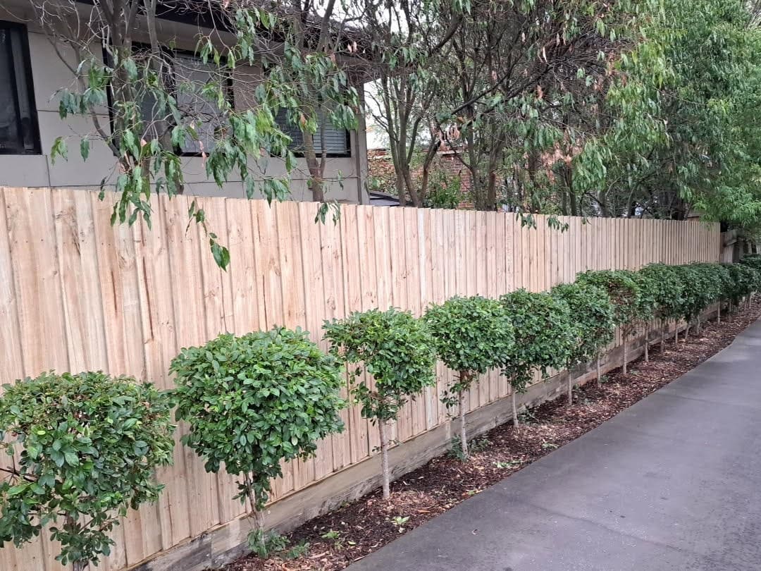 Fence Repairs Bayswater