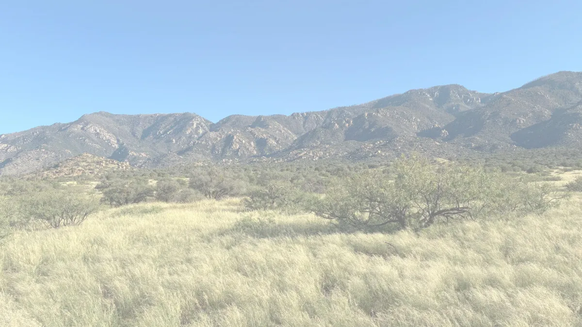 Photo of man looking at sunset