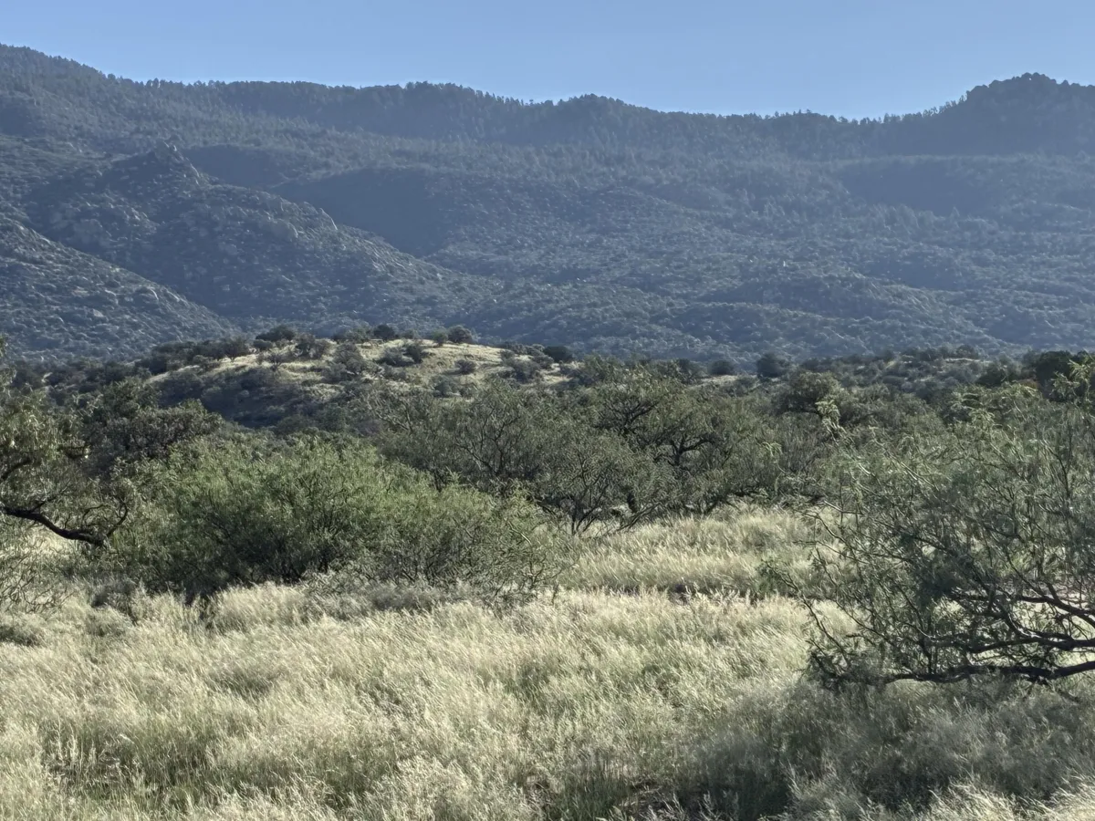 Photo of man looking at sunset