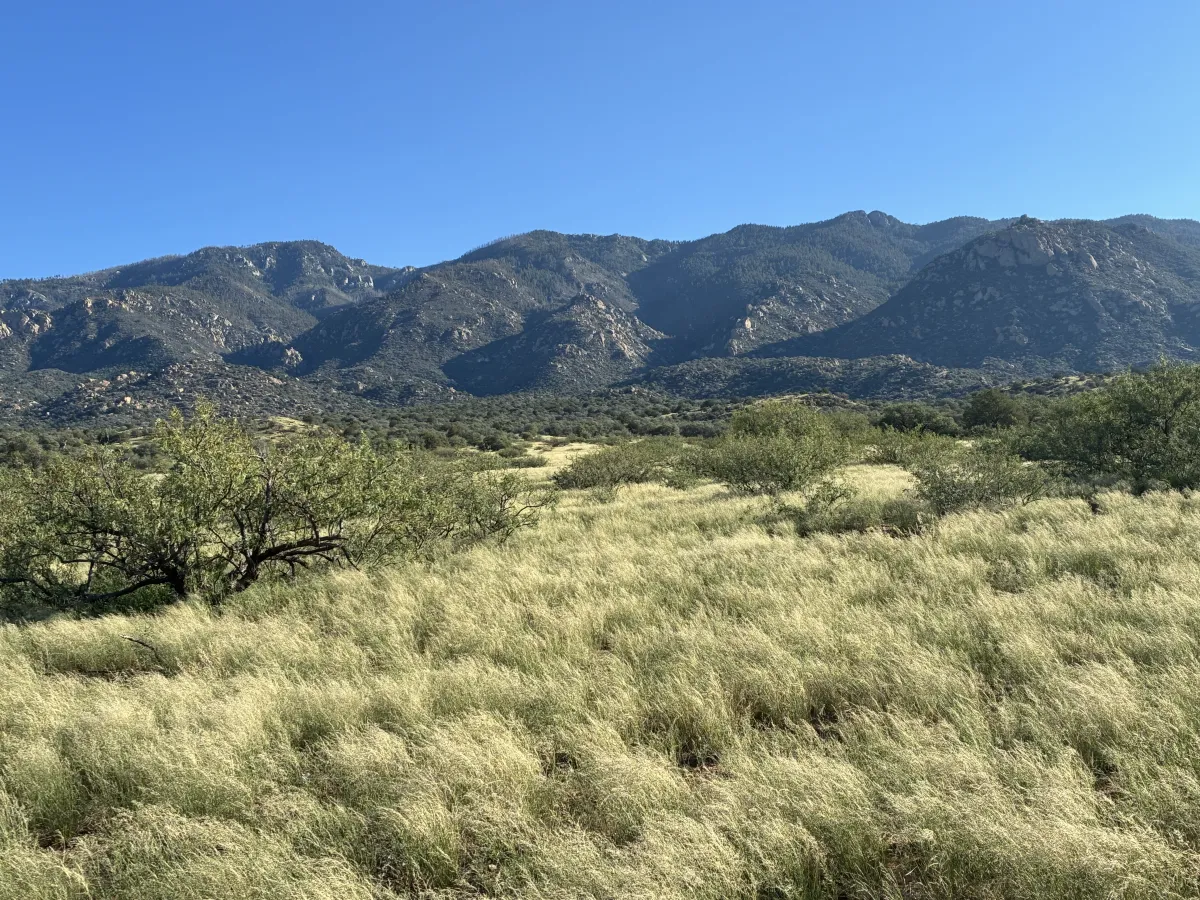 moutains