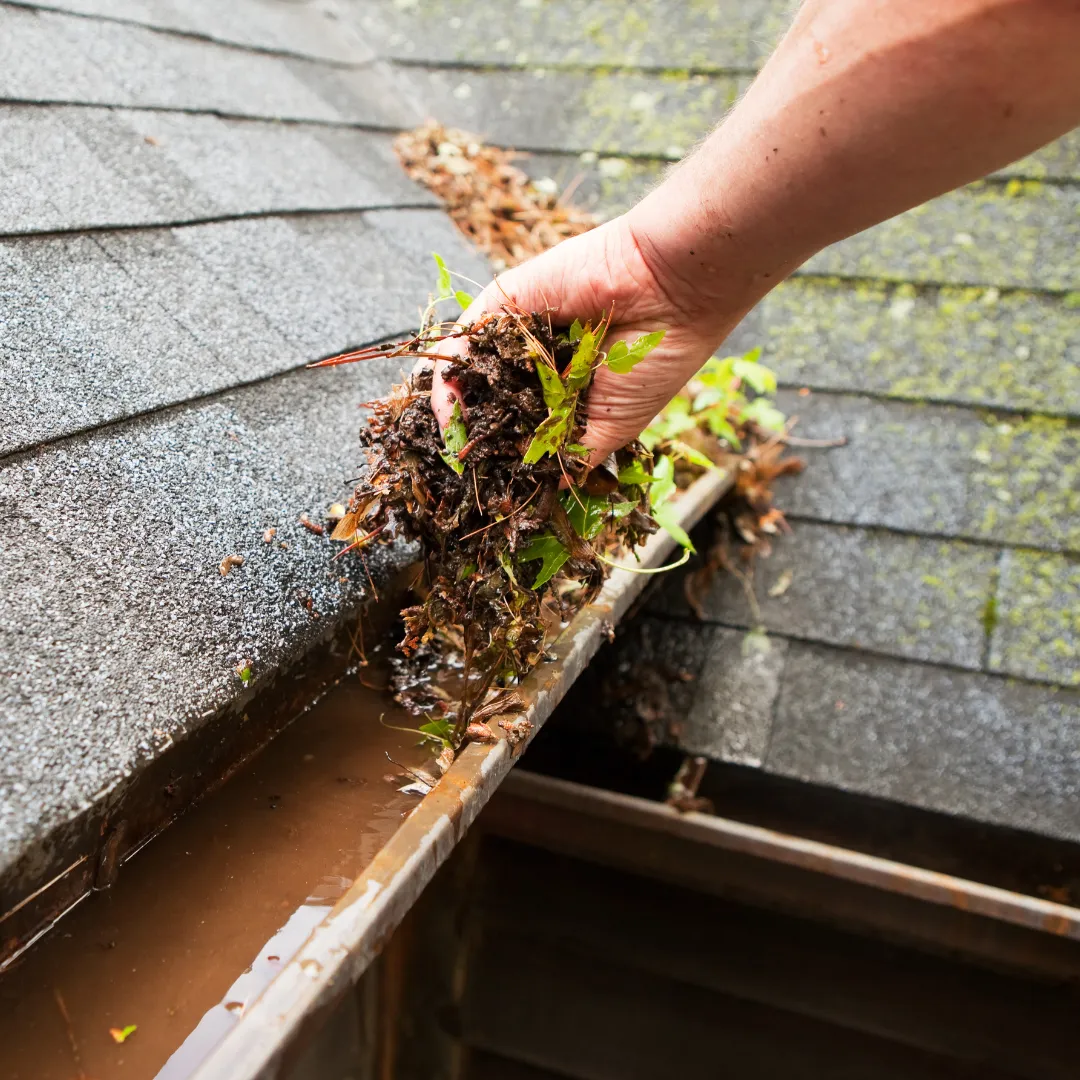 gutter cleaning