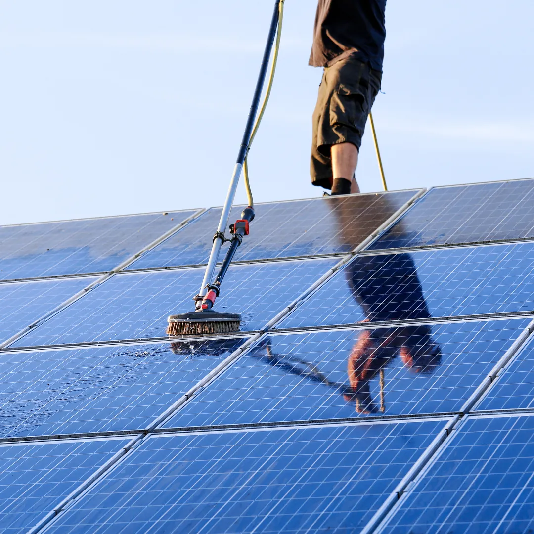 solar panel cleaning