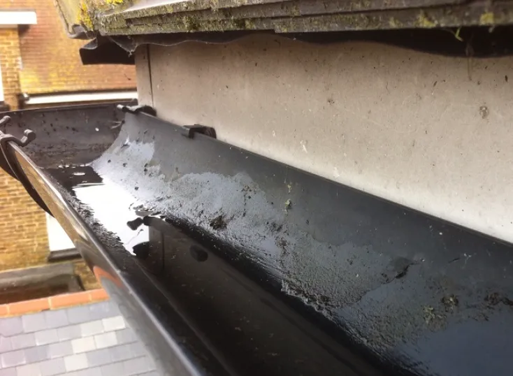 gutter cleaning