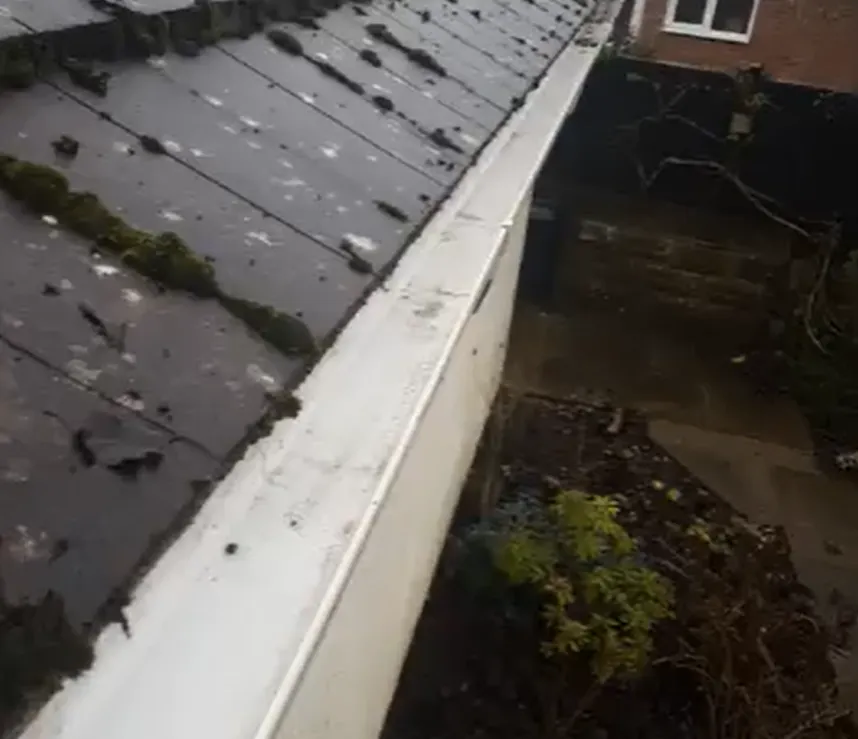 gutter cleaning