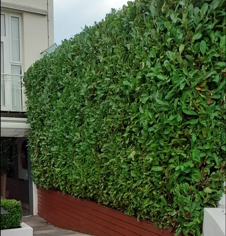 grounds maintenance by heatley garden services and grounds maintenance