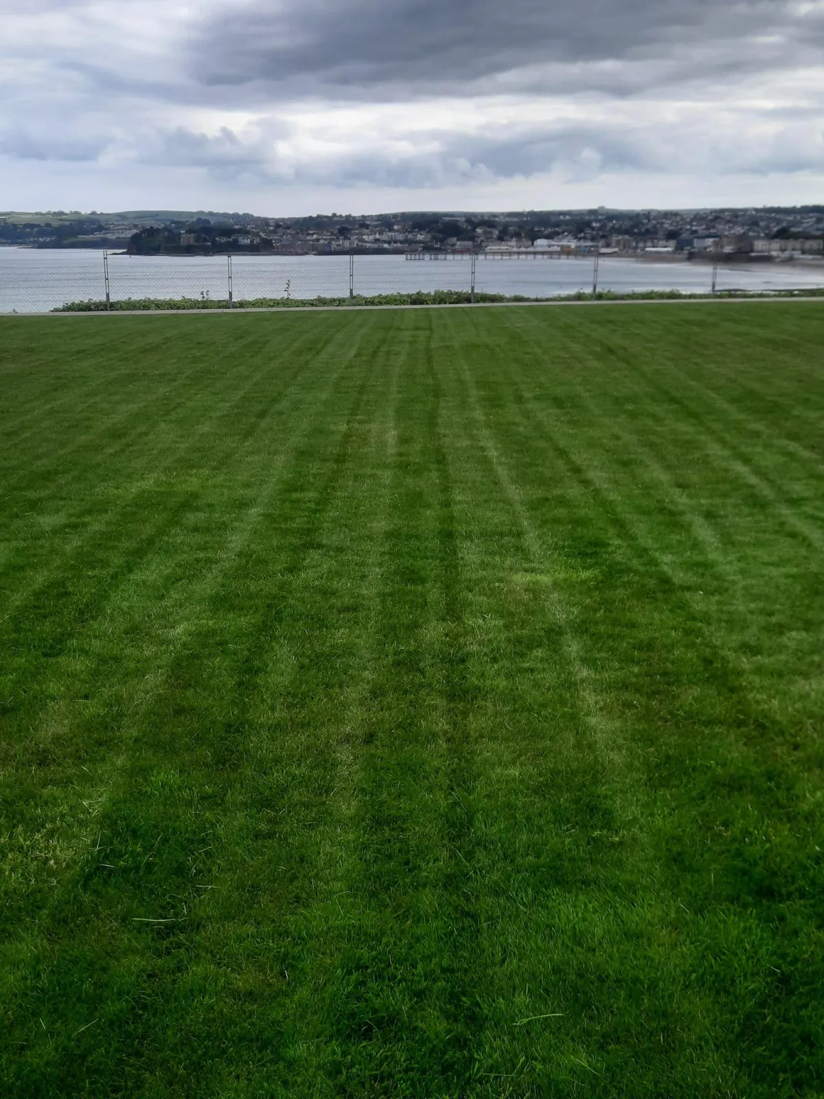 lawn mowing in torquay