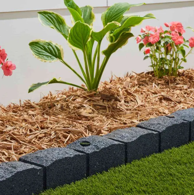 planting in torquay