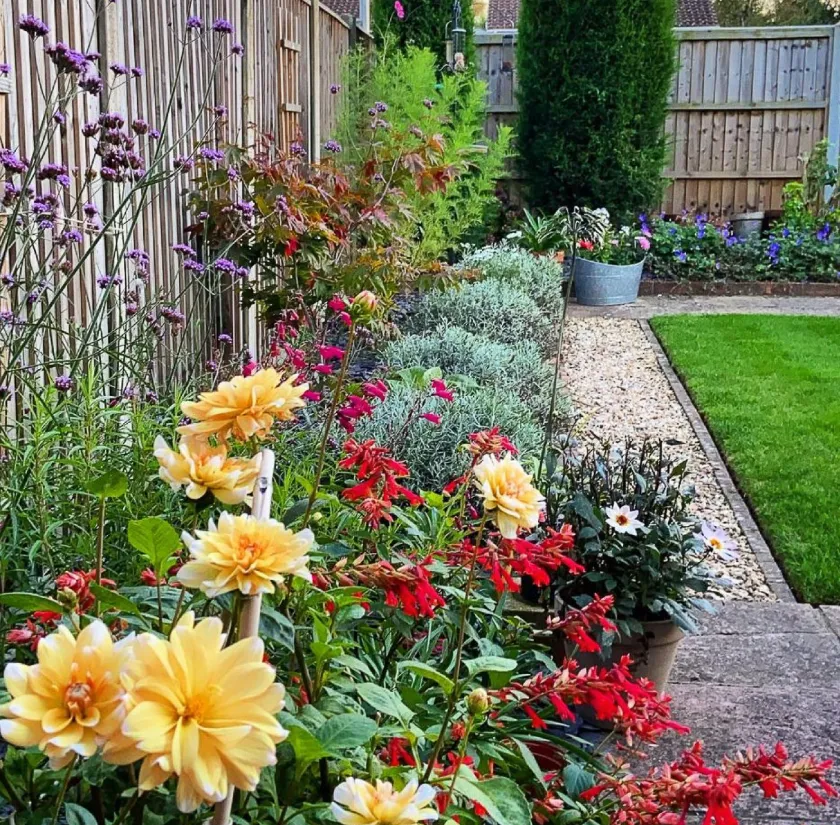 planting in torquay