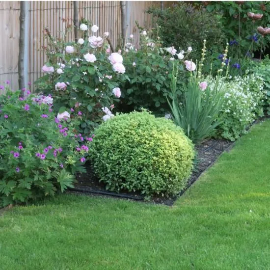 planting in torquay