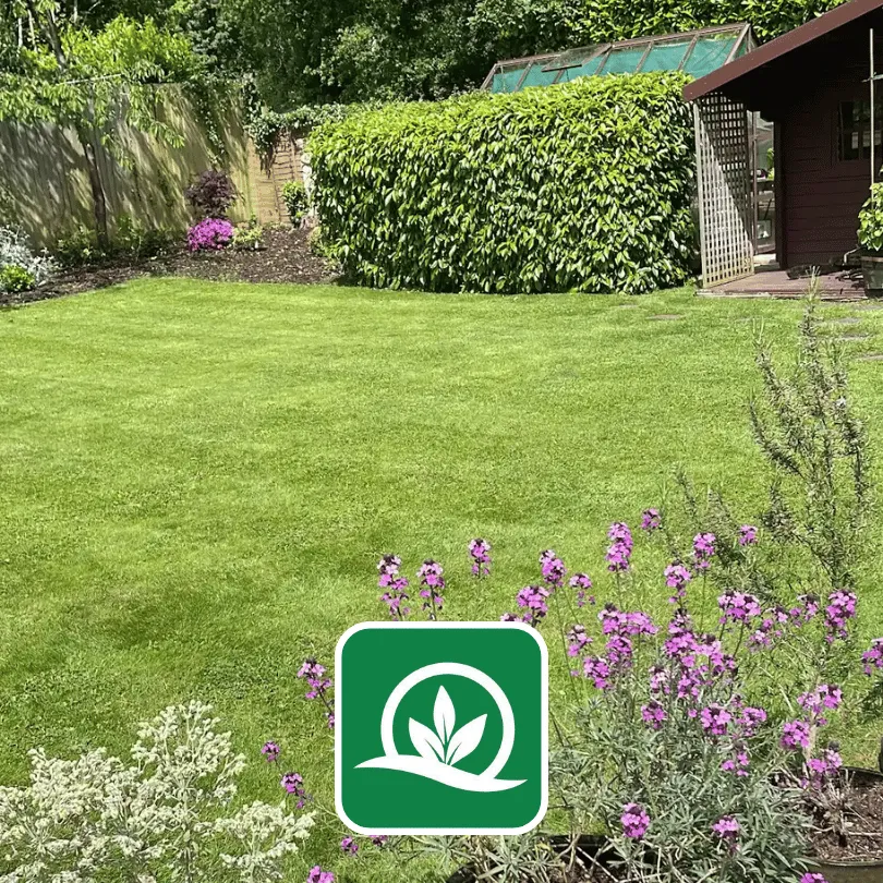 lawn mowing in christchurch dorset by evergreen gardens