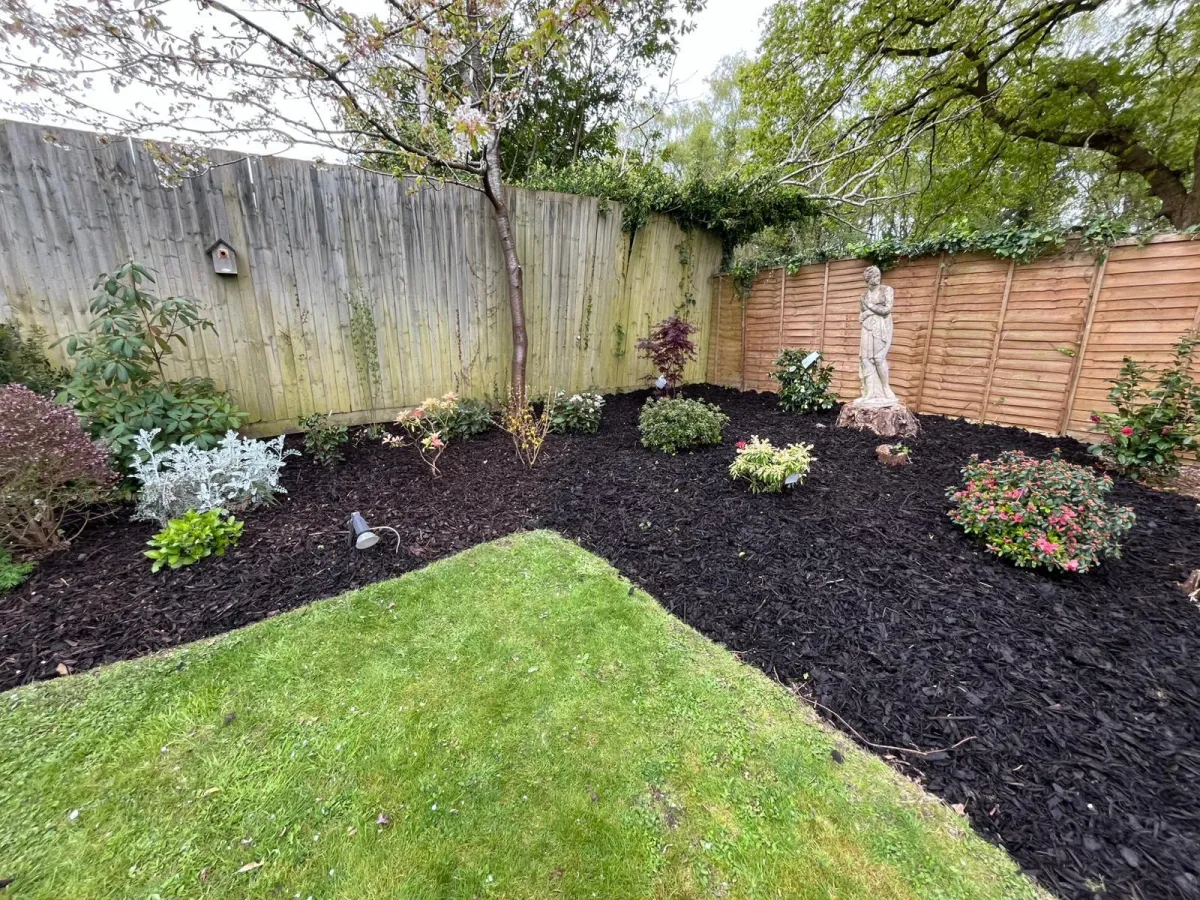 garden clearance in christchurch dorset by evergreen gardens