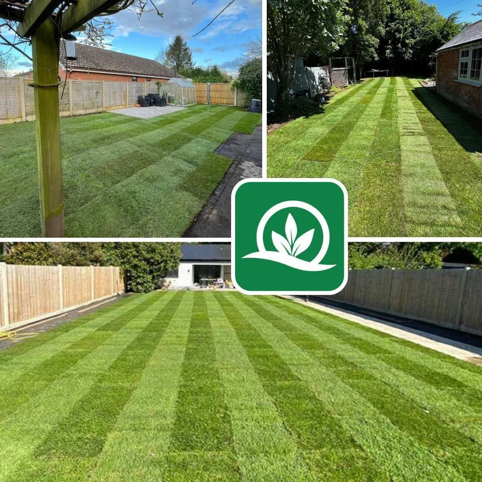turfing in christchurch dorset