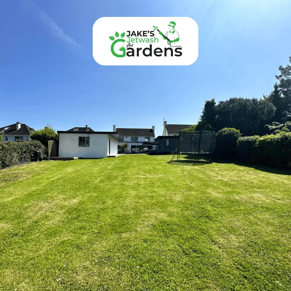 lawn maintenance torquay