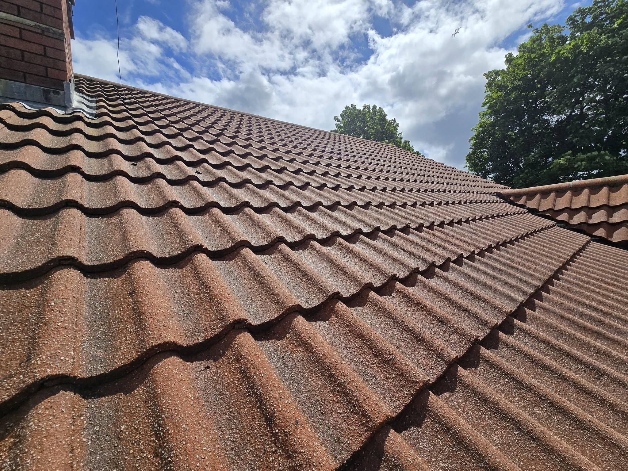 Clean moss-free roof after professional roof cleaning in Plymouth