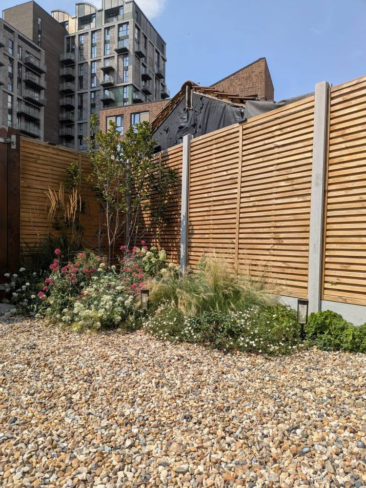 New lawn and landscaped front garden