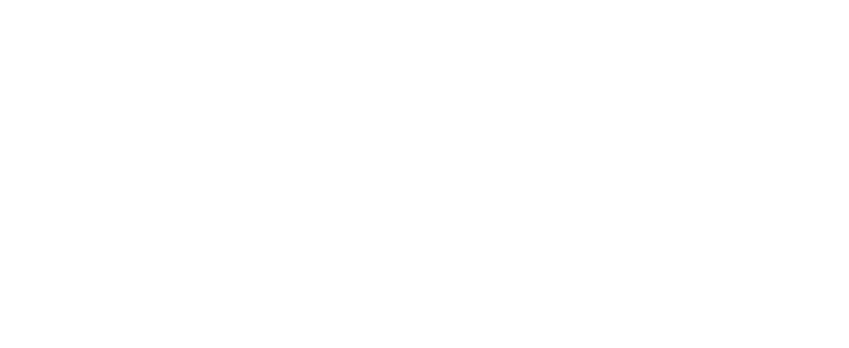 alpine window cleaning logo