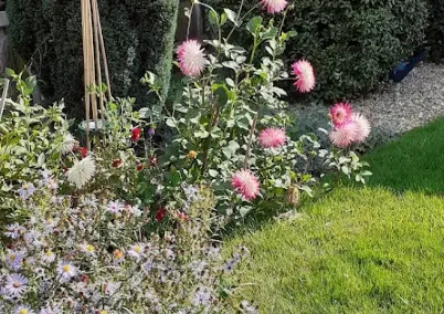 garden planning and planting in torquay by heatley garden services and grounds maintenance