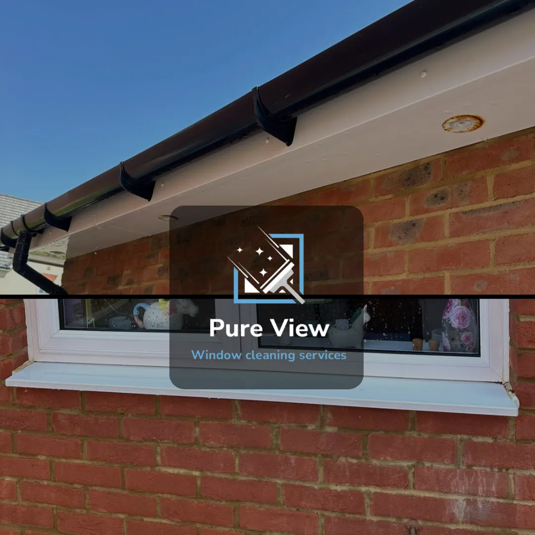window and exterior cleaning by pure view window cleaning