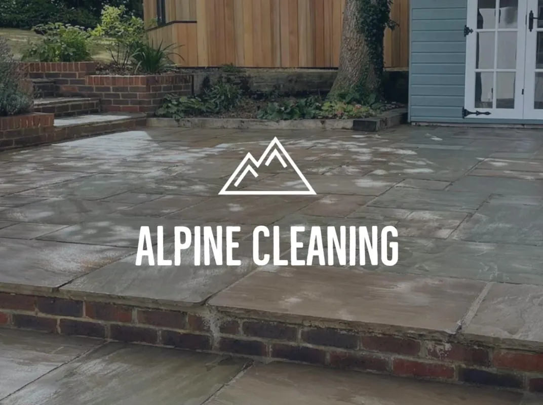 alpine cleaning by alpine cleaning
