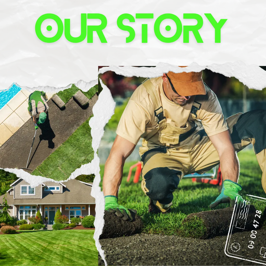 Jose’s Landscaping team installing fresh sod lawns for residential yard makeove