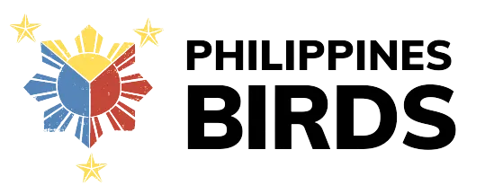 Philippines Birds