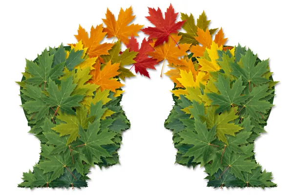 a group of people standing on top of a lush green field