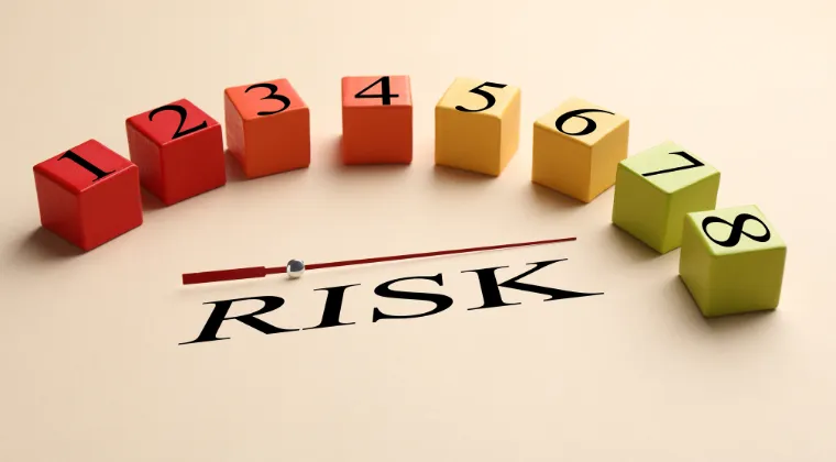 a group of people standing on top of a lush green field