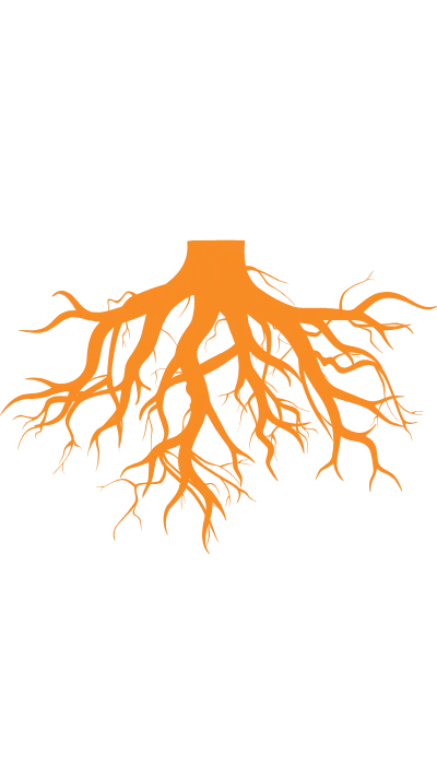 tree roots showing core issues of porn addiction