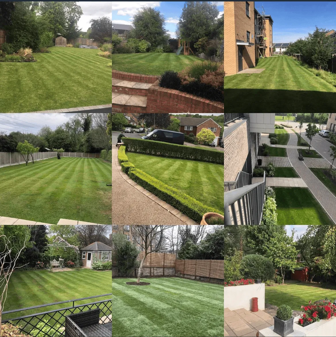 Timber feather edge fencing installed by professionals in Oxfordshire