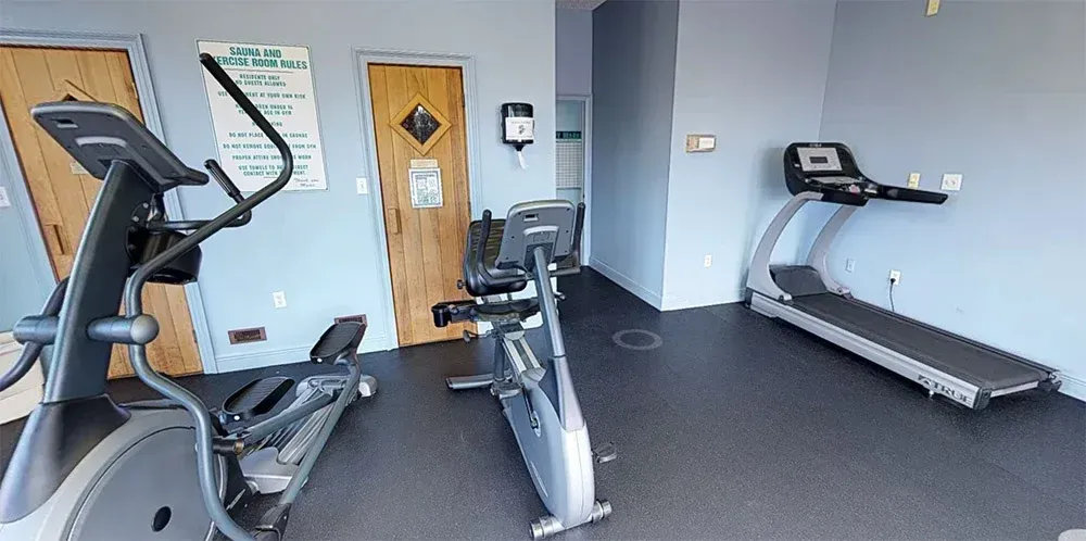 elipticals and treadmills